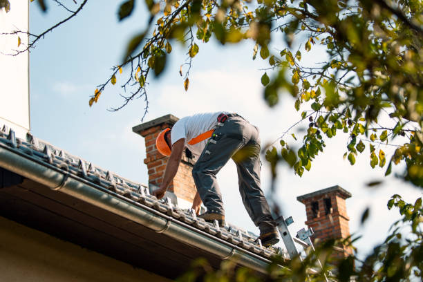 Best Chimney Flashing Repair  in Necedah, WI